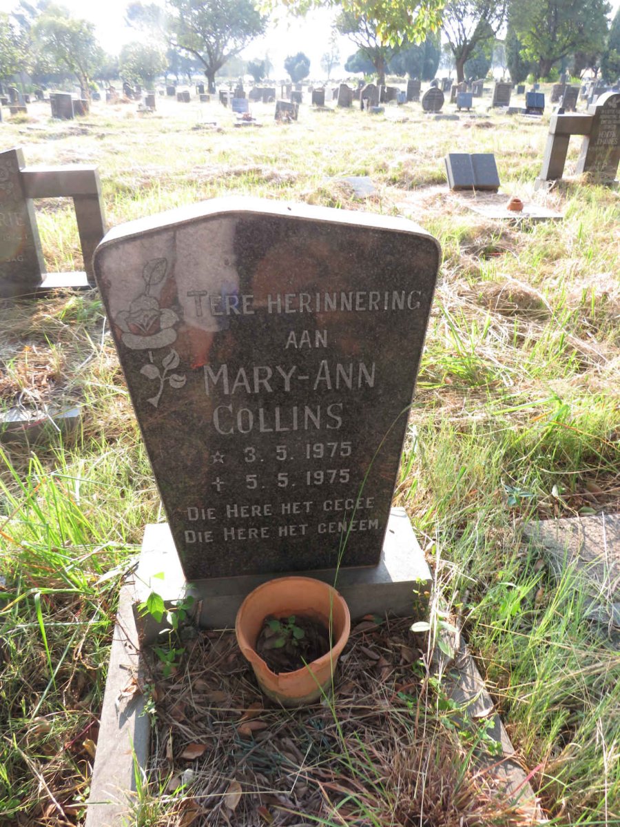 COLLINS Mary-Ann 1975-1975