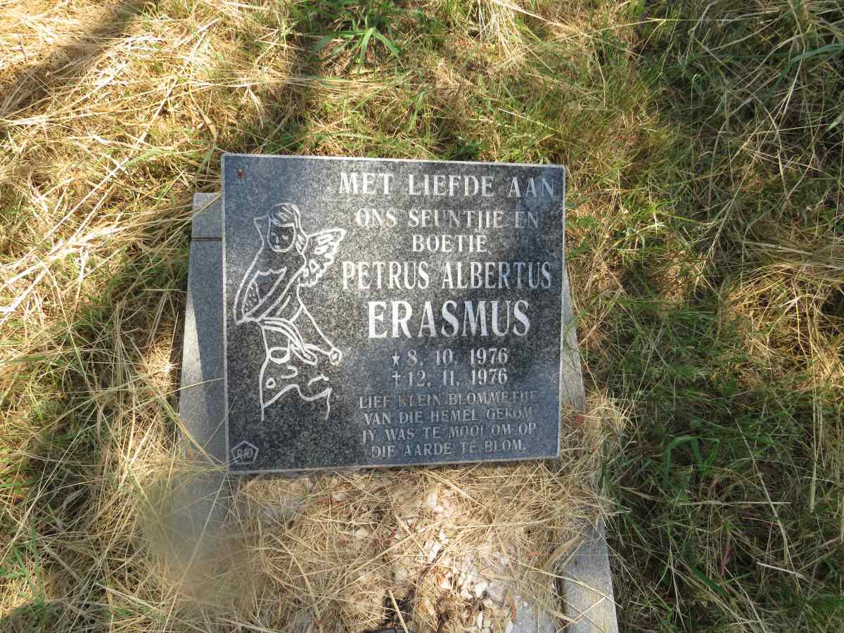 ERASMUS Petrus Albertus 1976-1976
