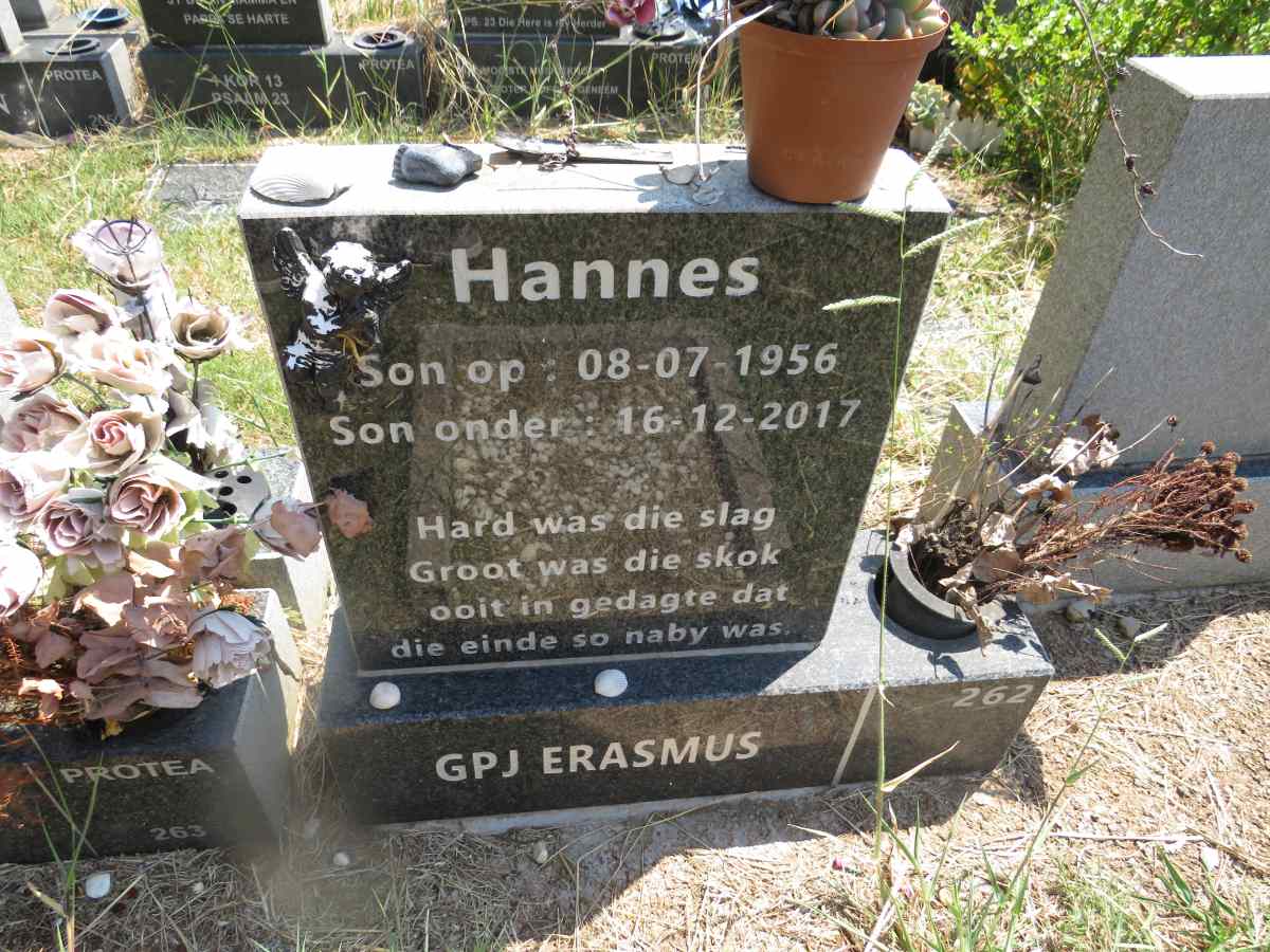 ERASMUS G.P.J. 1956-2017