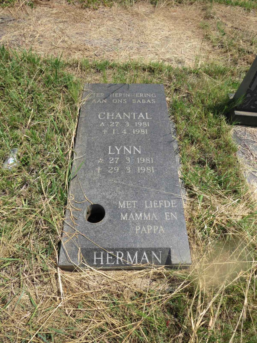 HERMAN Chantal 1981-1981 :: HERMAN Lynn 1981-1981