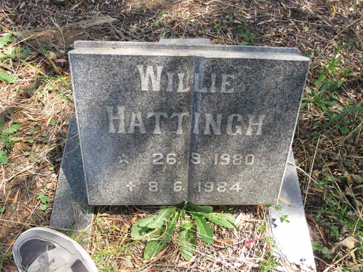 HATTINGH Willie 1980-1984