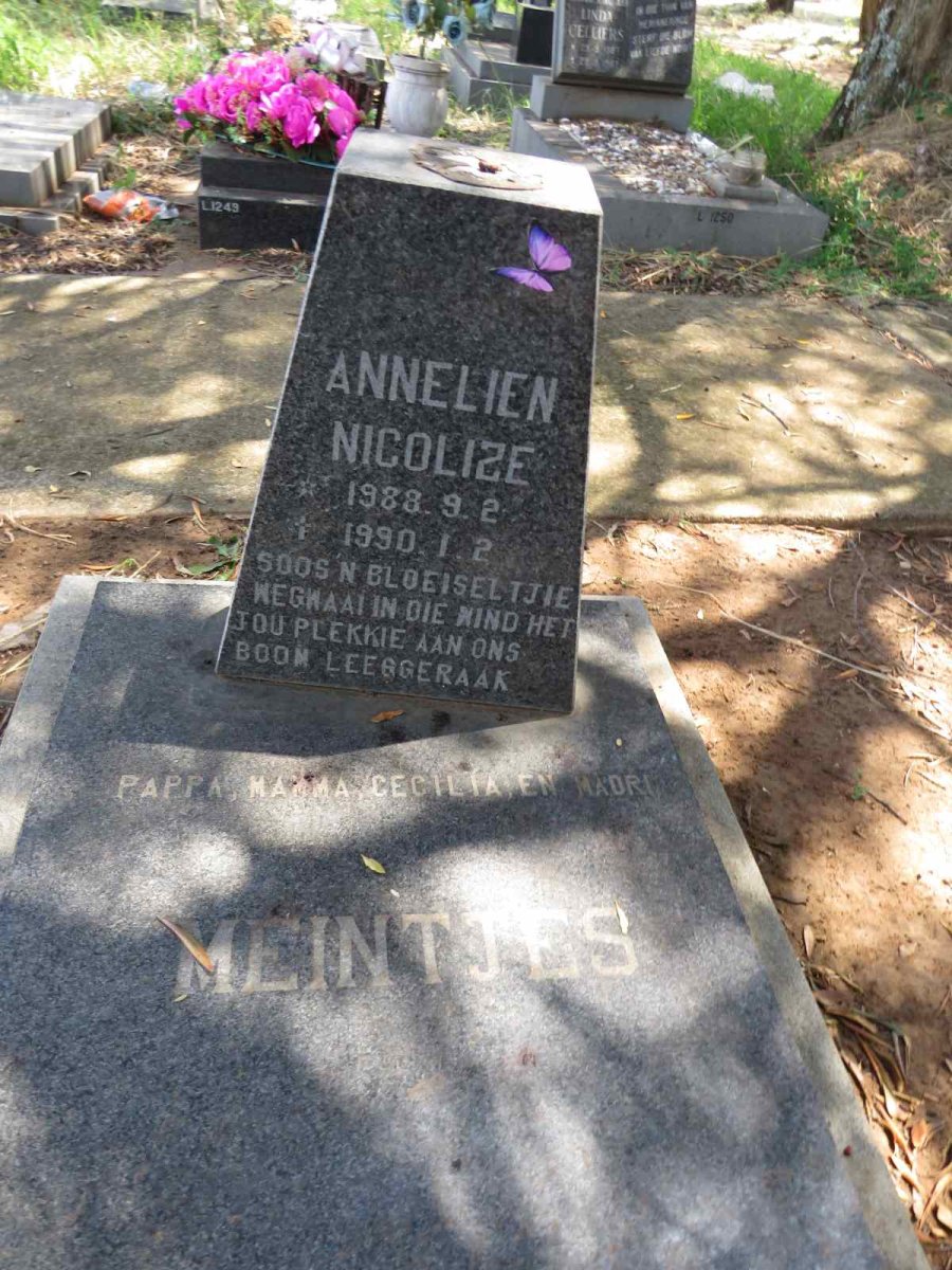 MEINTJES Annelien Nicolize 1988-1990