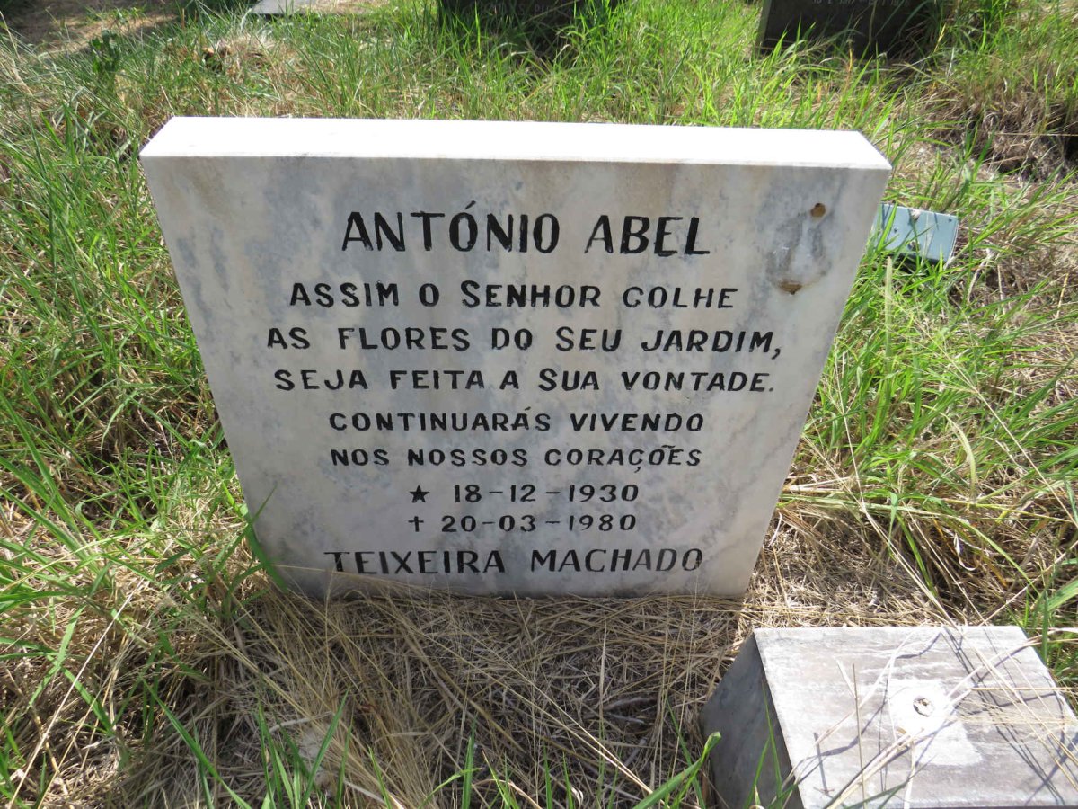 MACHADO Antonio Abel, TEIXEIRA  1930-1980