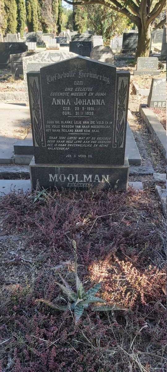 MOOLMAN Anna Johanna 1891-1959