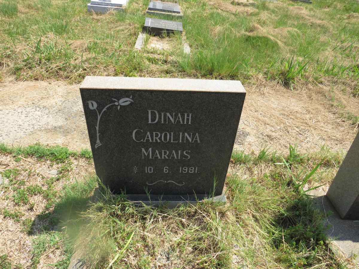 MARAIS Dinah Carolina 1981-1981