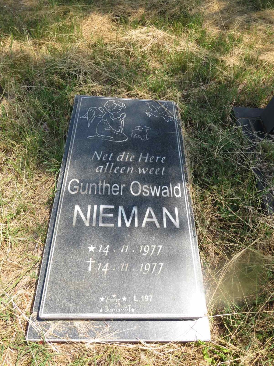 NIEMAN Gunther Oswald 1977-1977