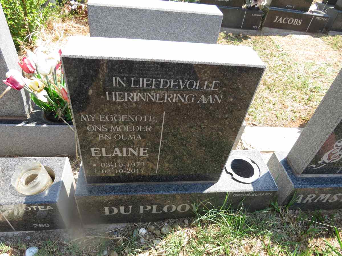 PLOOY Elaine, du 1973-2017
