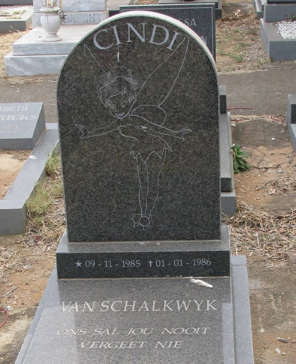 SCHALKWYK Cindi, van 1985-1986