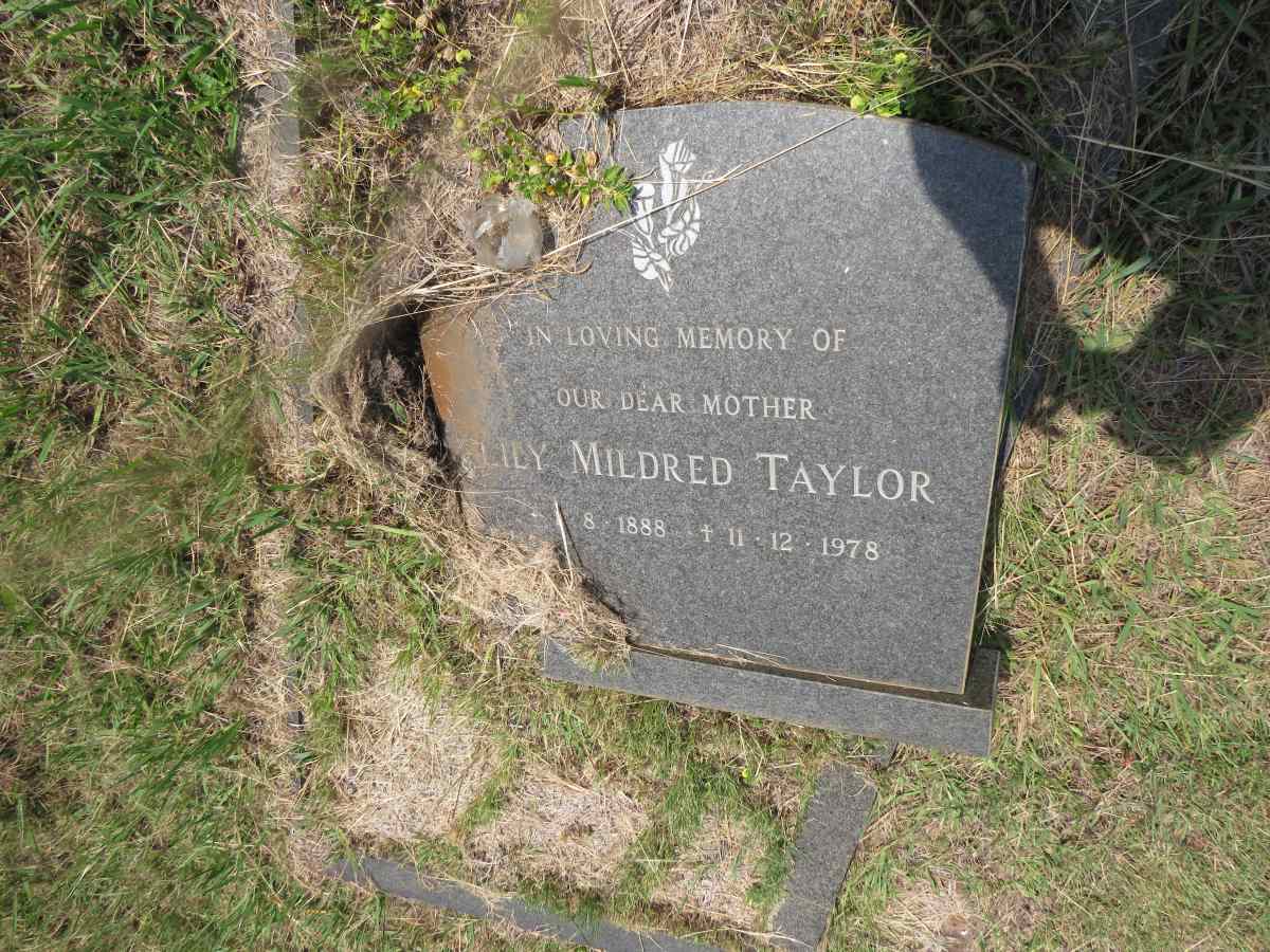TAYLOR Lily Mildred 1888-1978