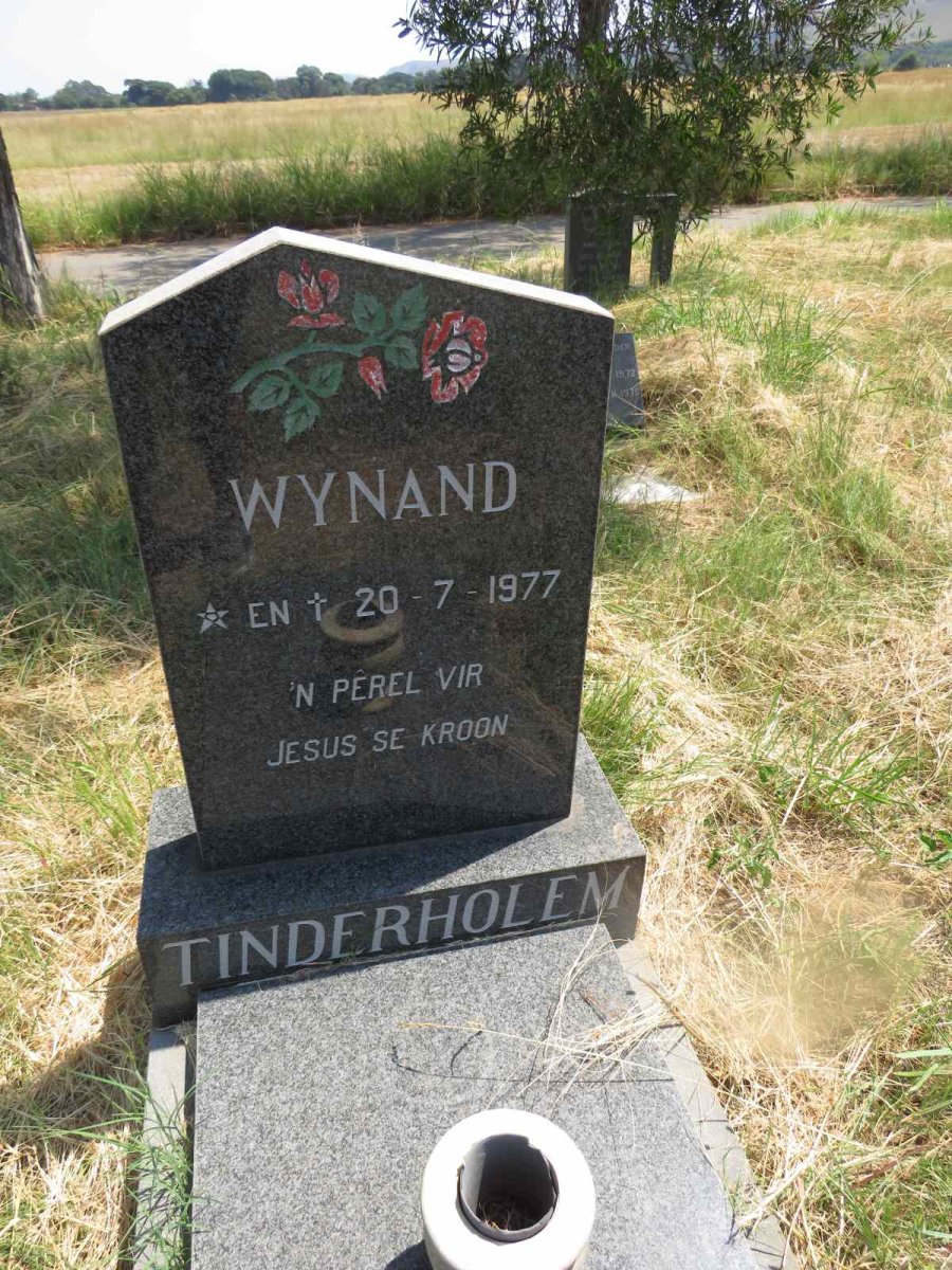 TINDERHOLEM Wynand 1977-1977