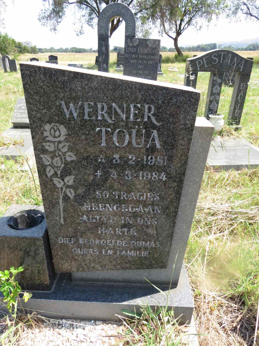 TOUA Werner 1981-1984