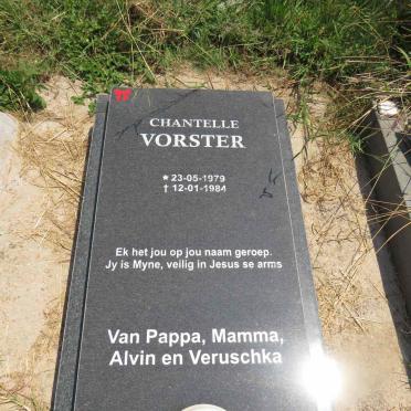 VORSTER Chantelle 1979-1984