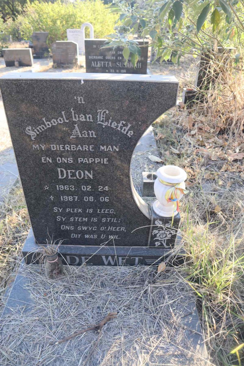 WET Deon, de 1963-1987