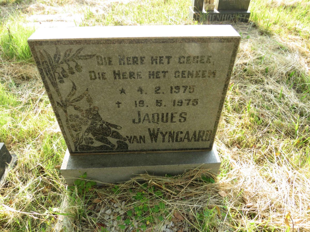 WYNGAARD Jaques, van 1975-1975