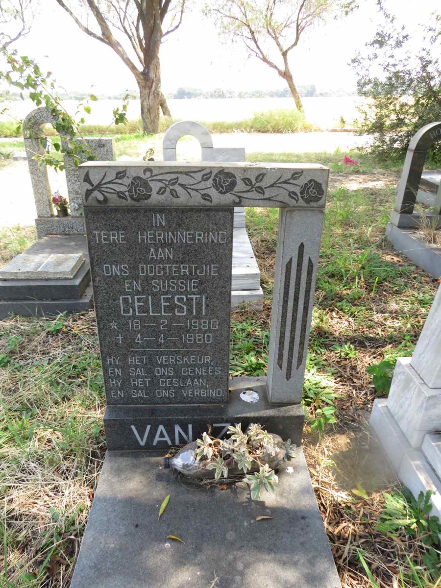 ZYL Celesti, van 1980-1980