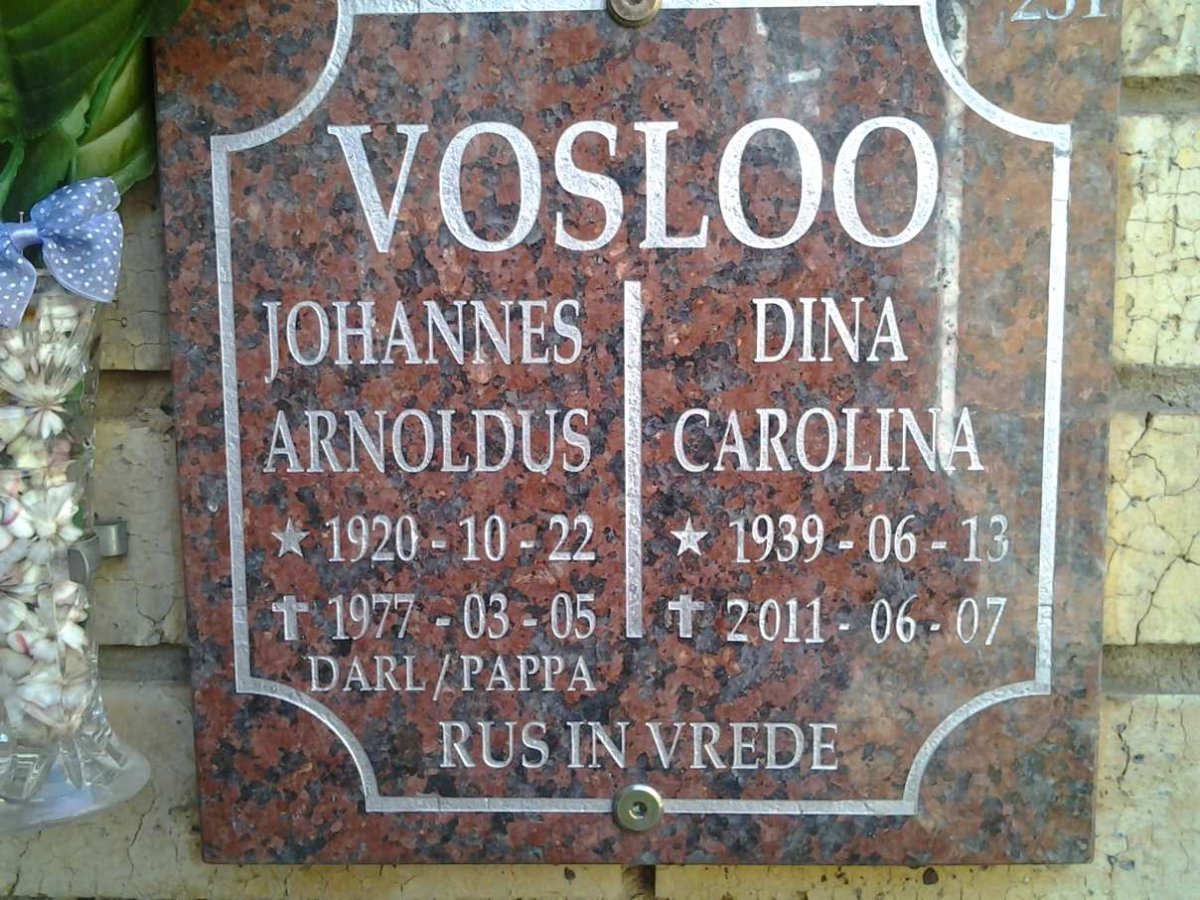 VOSLOO Johannes Arnoldus 1920-1977 :: VOSLOO Dina Carolina 1939-2011