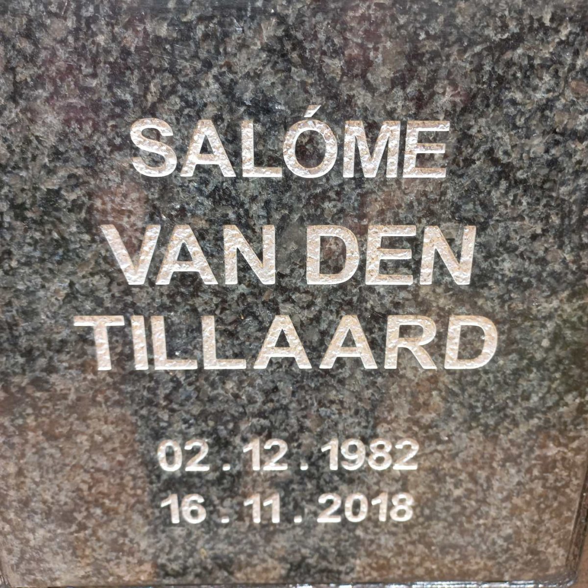 TILLAARD Salome, van den 1982-2018