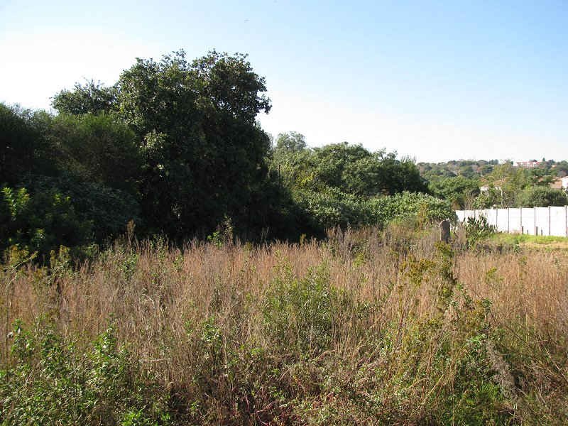 2. Overview