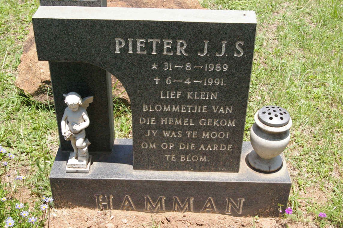 HAMMAN J.J.S.1989-1991