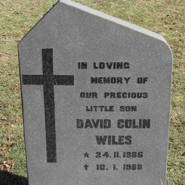 WILES David Colin 1986-1988