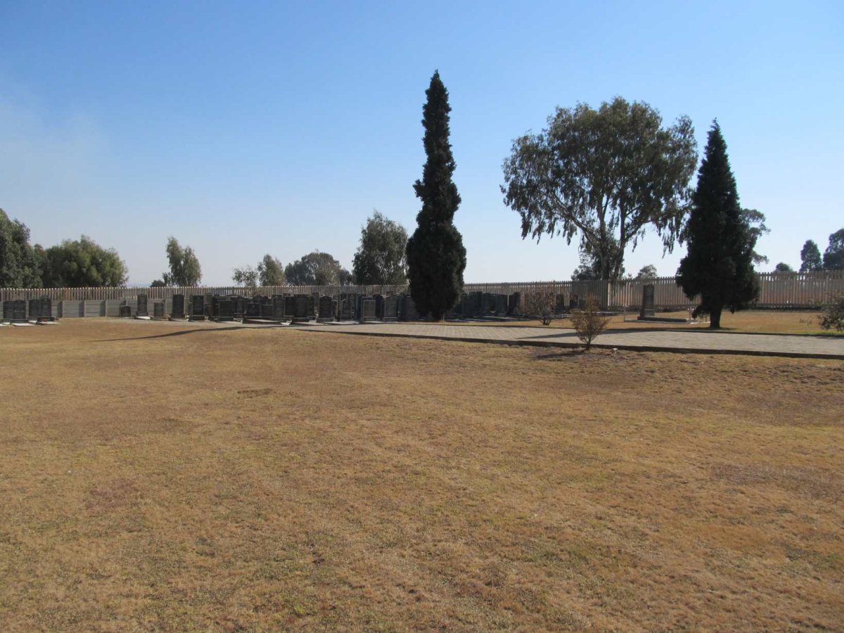 4. Overview