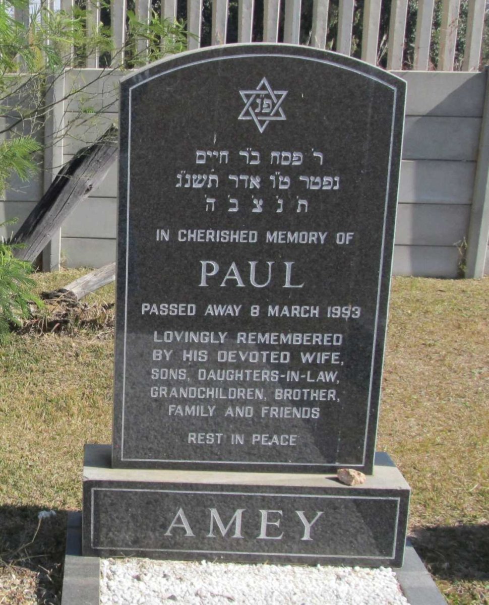 AMEY Paul -1993