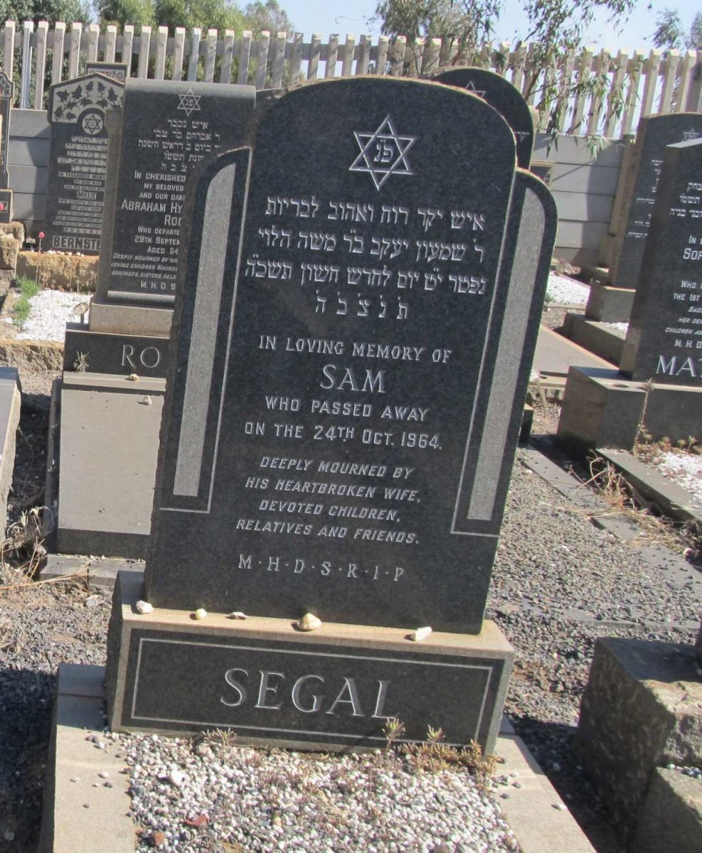 SEGAL Sam -1964
