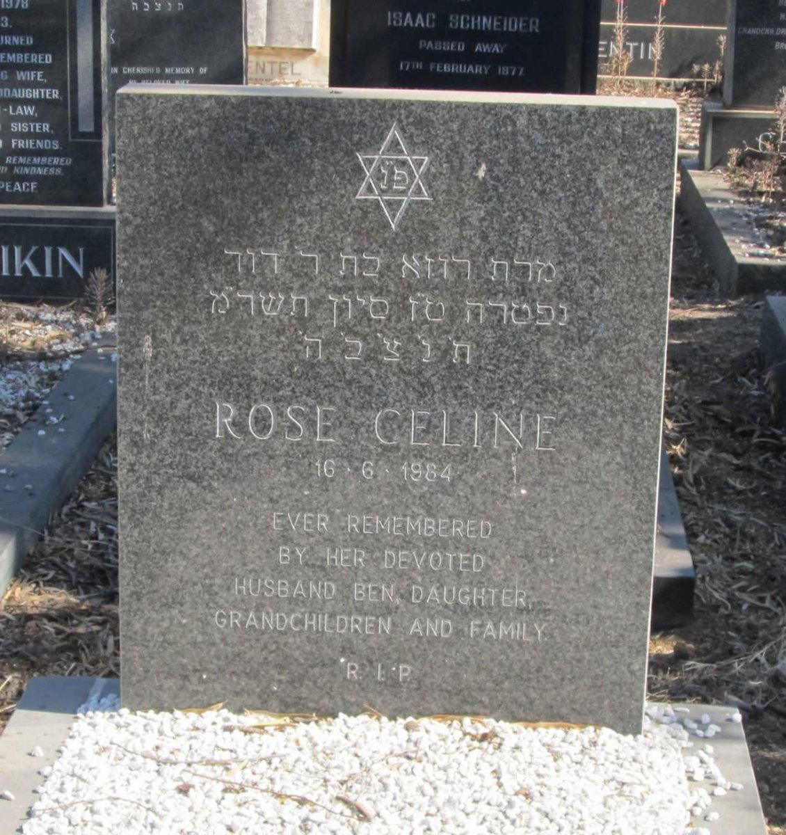 CELINE Rose -1984