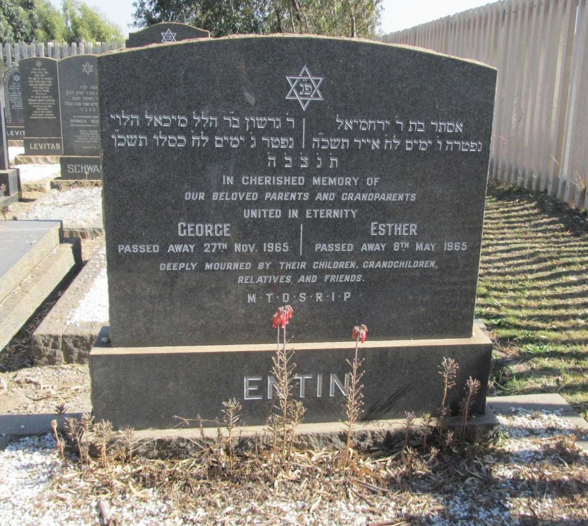 ENTIN George -1965 &amp; Esther -1965