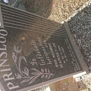 PRINSLOO Jacobus Gerhardus 1904-1972 &amp; Hannetjie 1920-1987