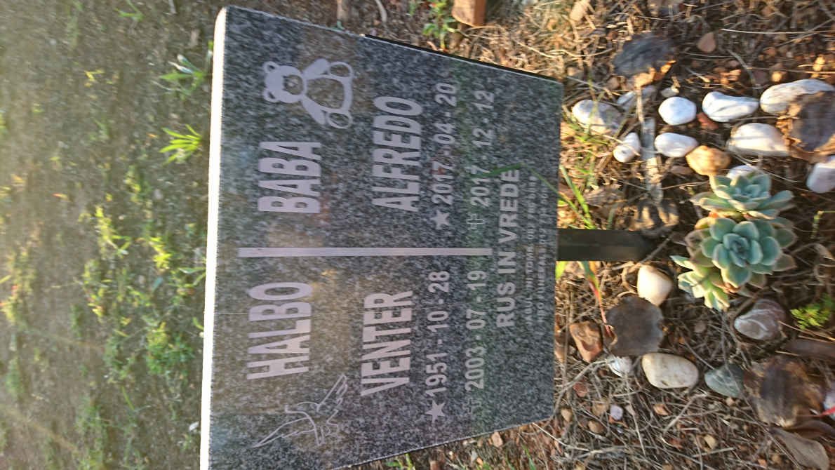 VENTER Halbo 1951-2003 :: VENTER Alfredo 2017-2017