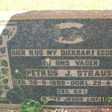 STRAUSS Petrus J. 1898-1954