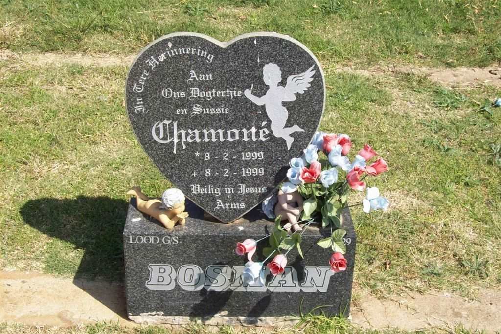 BOSMAN Chamoné 1999-1999