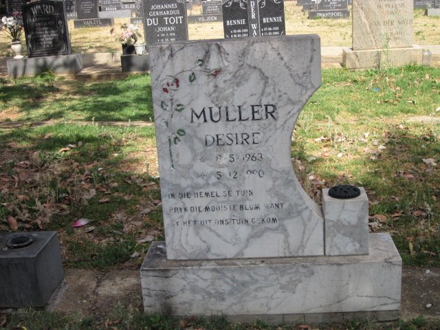 MULLER Desire 1963-1990