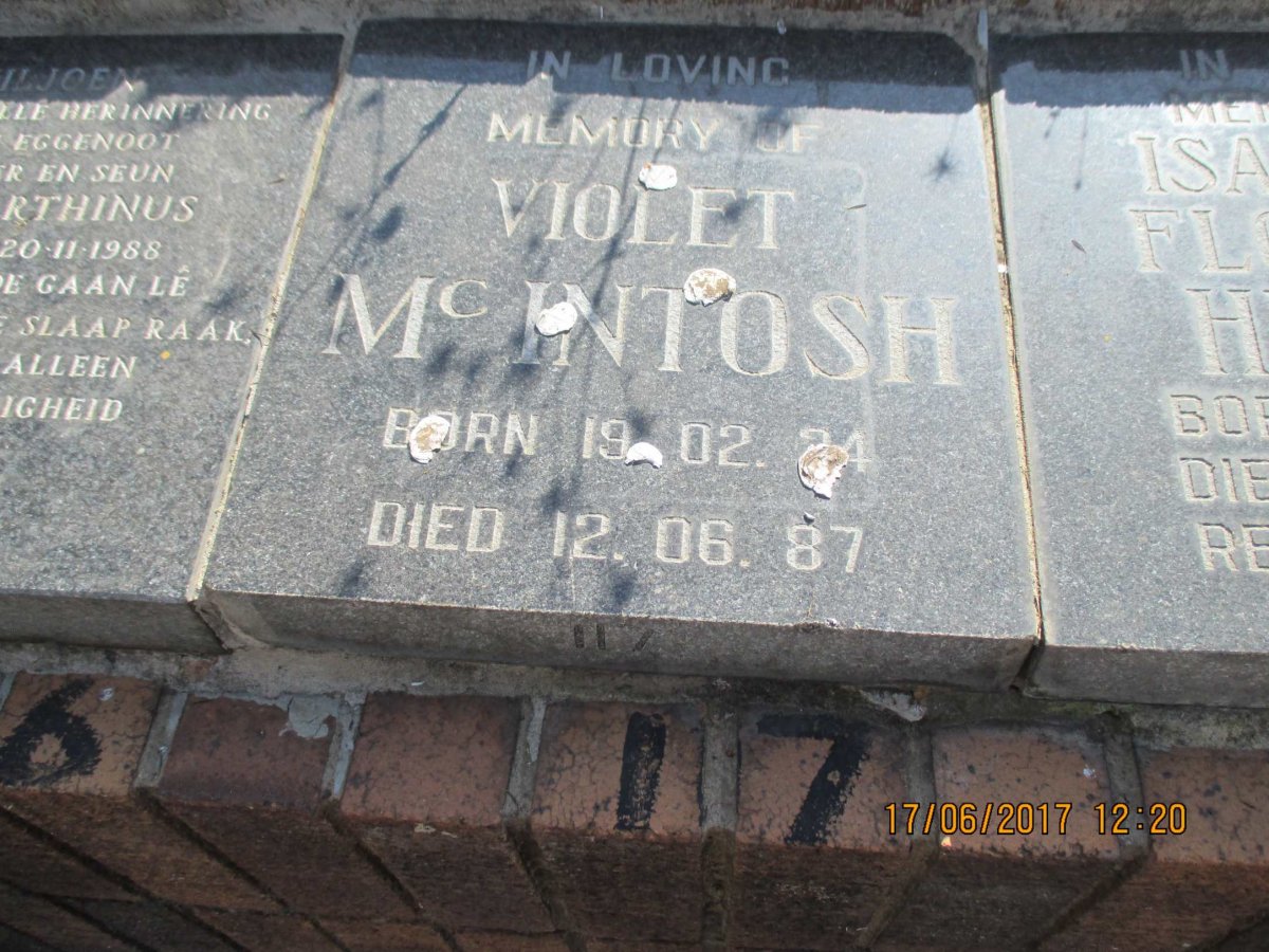 McINTOSH Violet 1934-1987