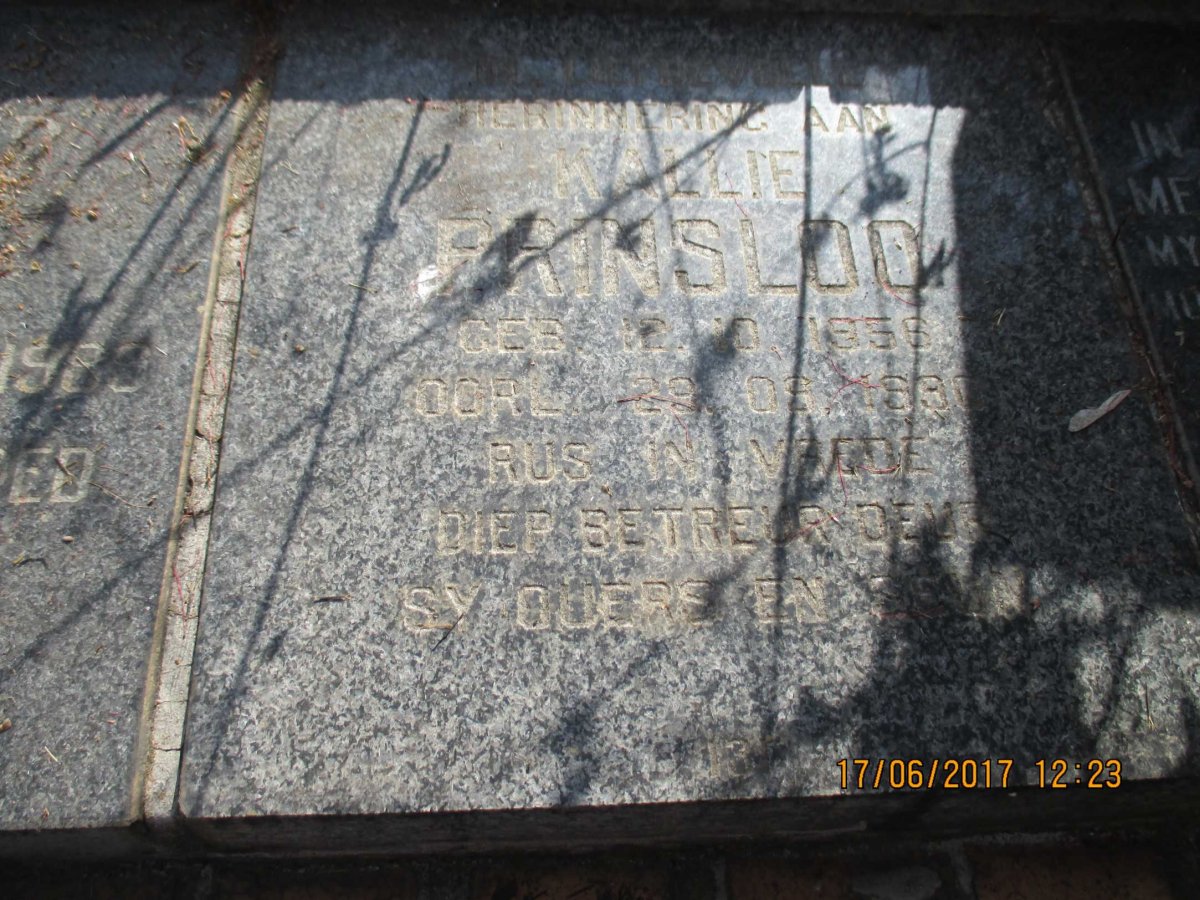 PRINSLOO Kallie 1956-1990
