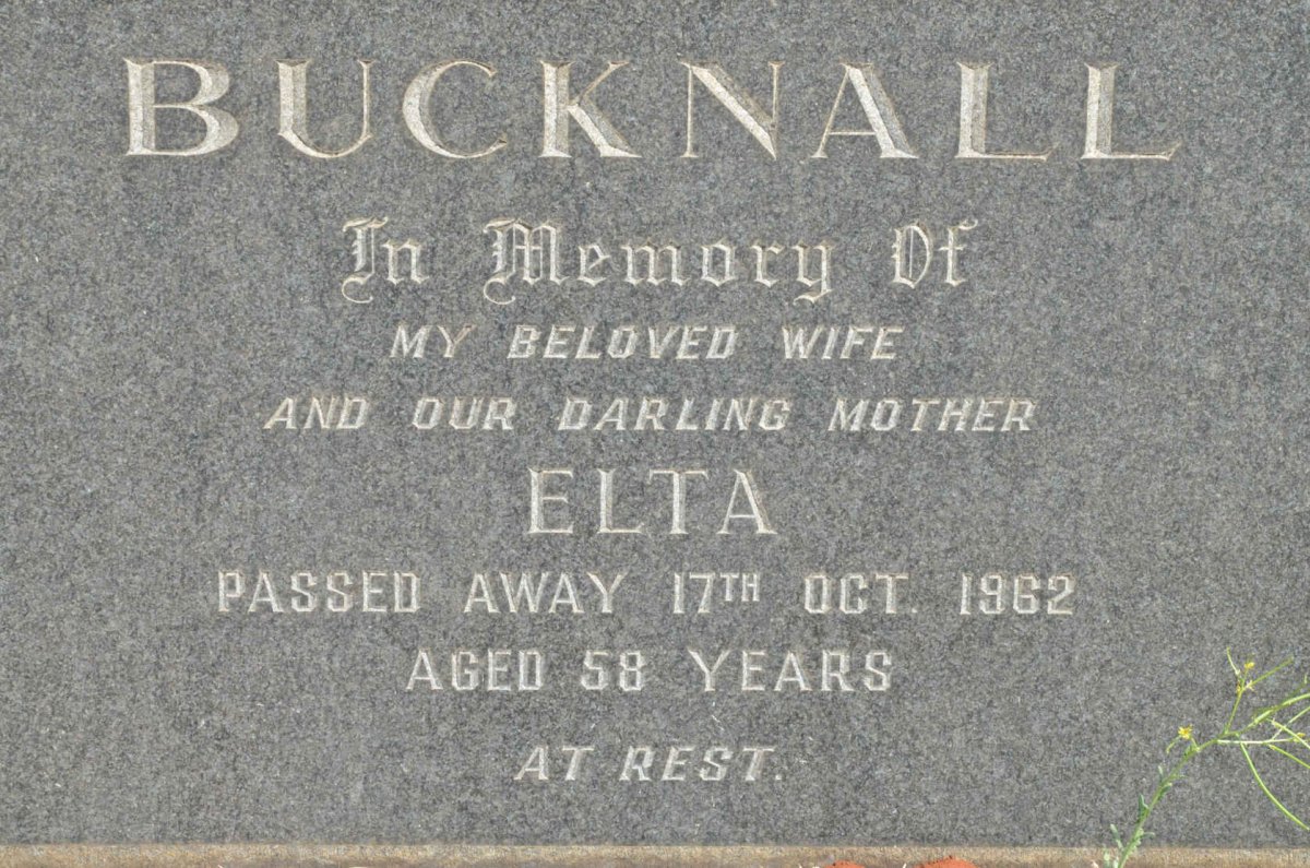 BUCKNALL Elta -1962