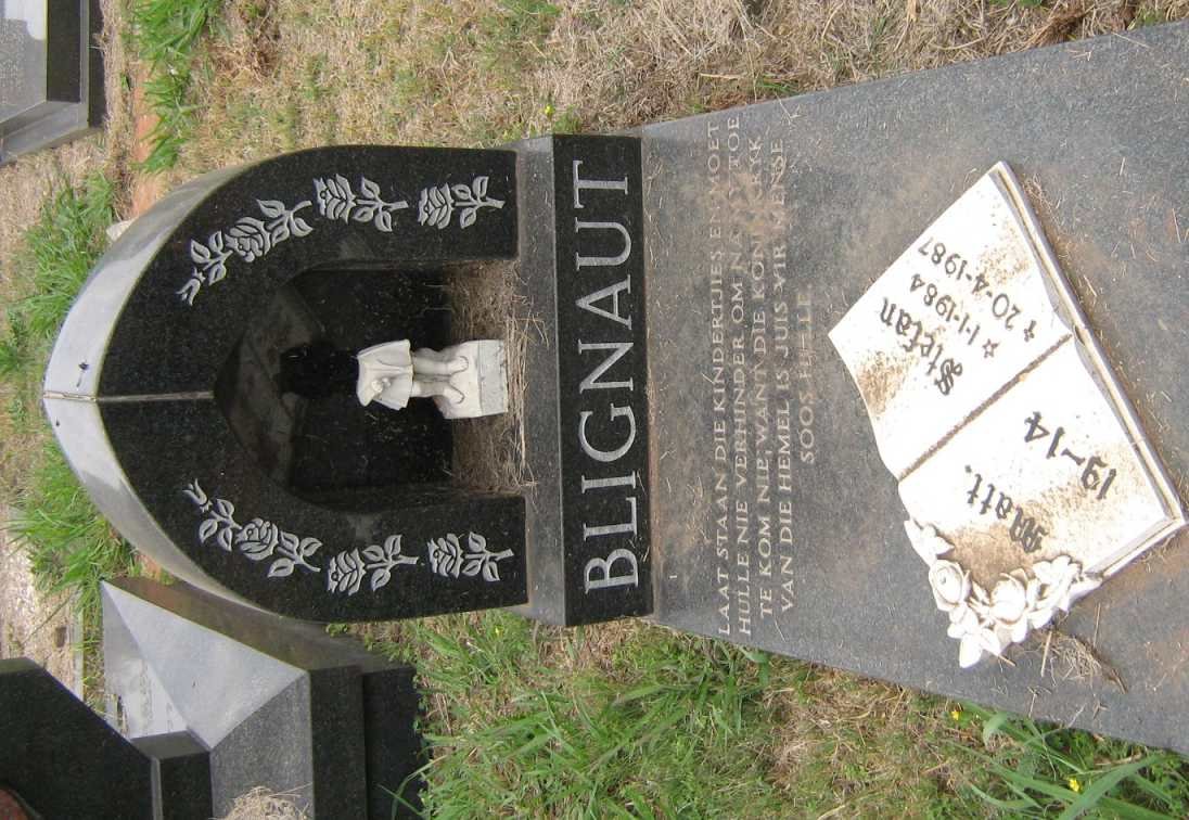 BLIGNAUT Stefan 1984-1987