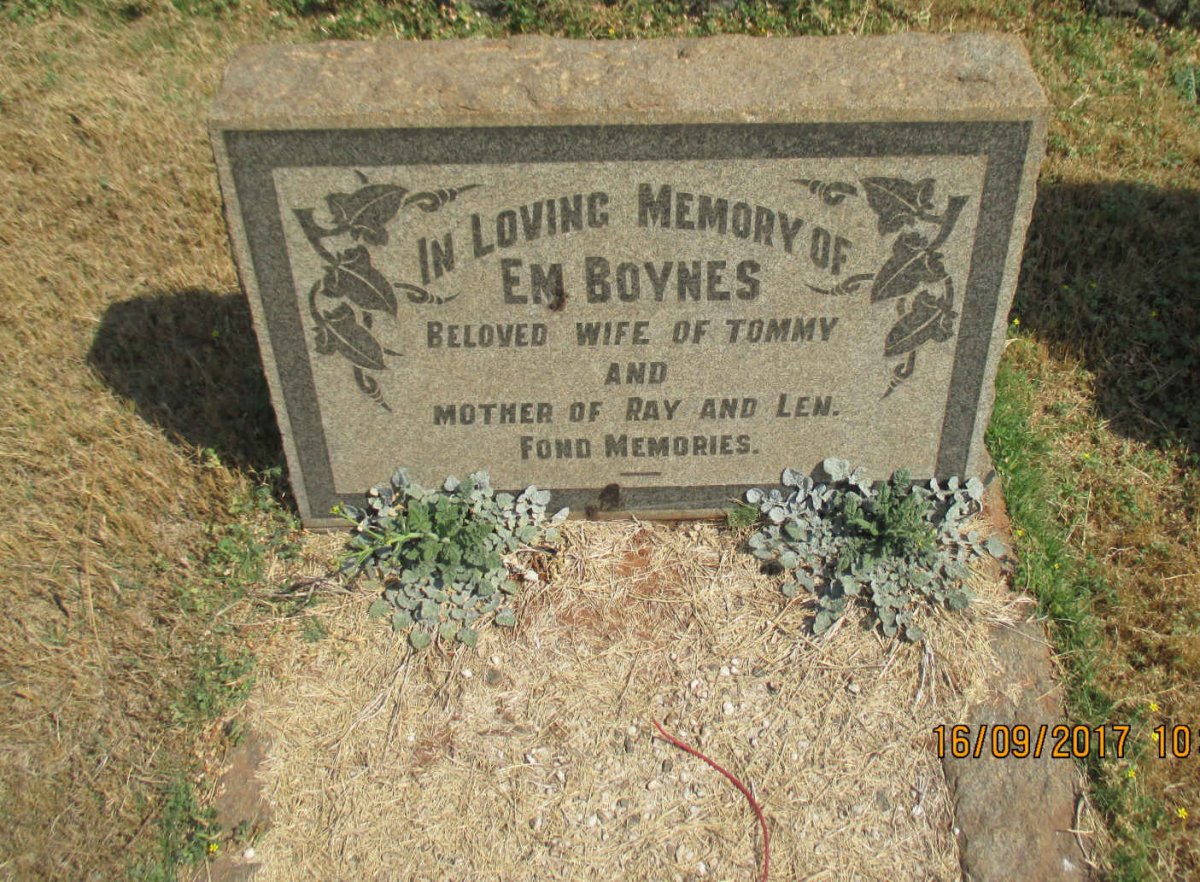 BOYNES Em