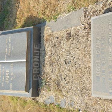 CRONJE Japie -1954 :: CRONJE Bossie 1937-1972