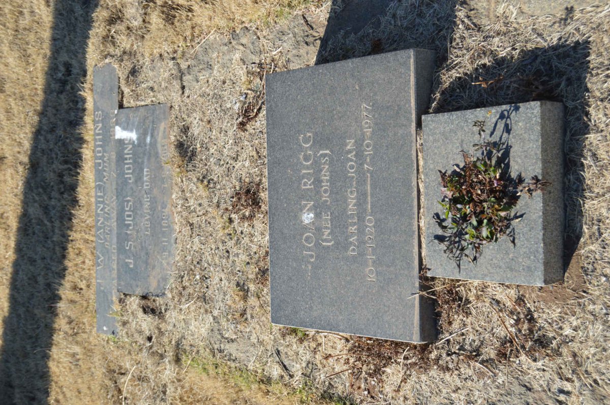 JOHNS J.S. 1891-1969 &amp; J.W. -1933 :: RIGG Joan nee JOHNS 1920-1977