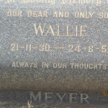 MEYER Wallie 1930-1951
