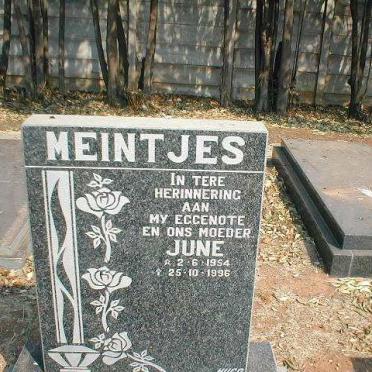 MEINTJES June 1954-1996