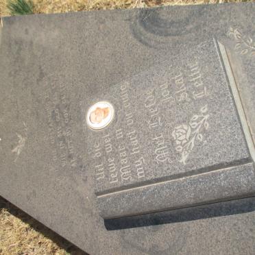 NIEUWENHUIZEN Jan Cornelius 1918-1992