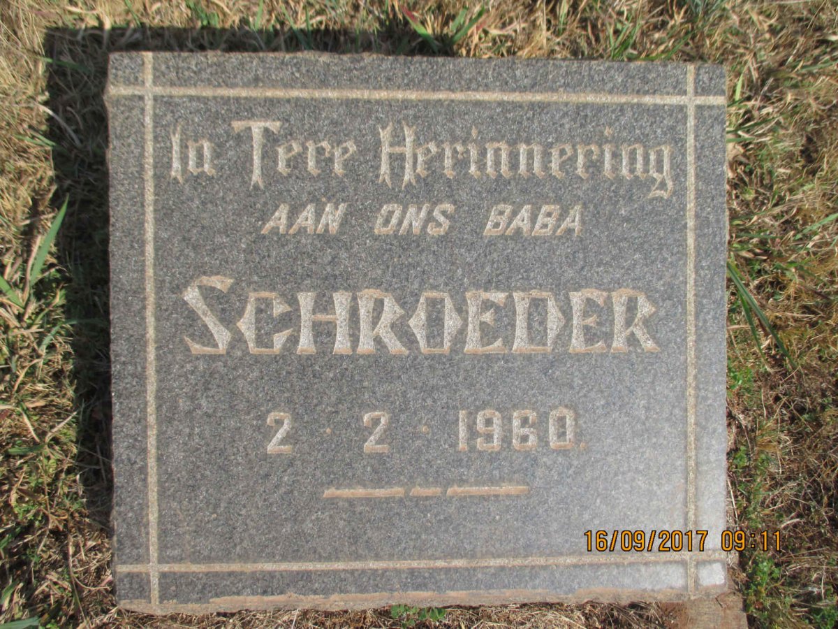 SCHROEDER 1960-1960