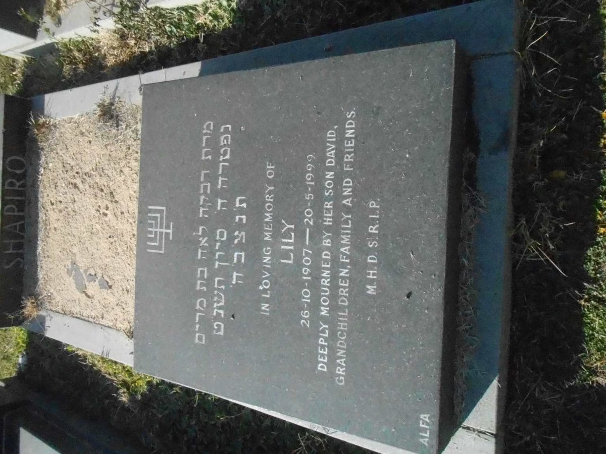 SHAPIRO Lily 1907-1999
