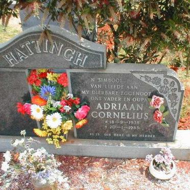 HATTINGH Adriaan Cornelius 1938-1985