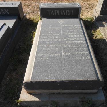 TAPUACH Max -1950