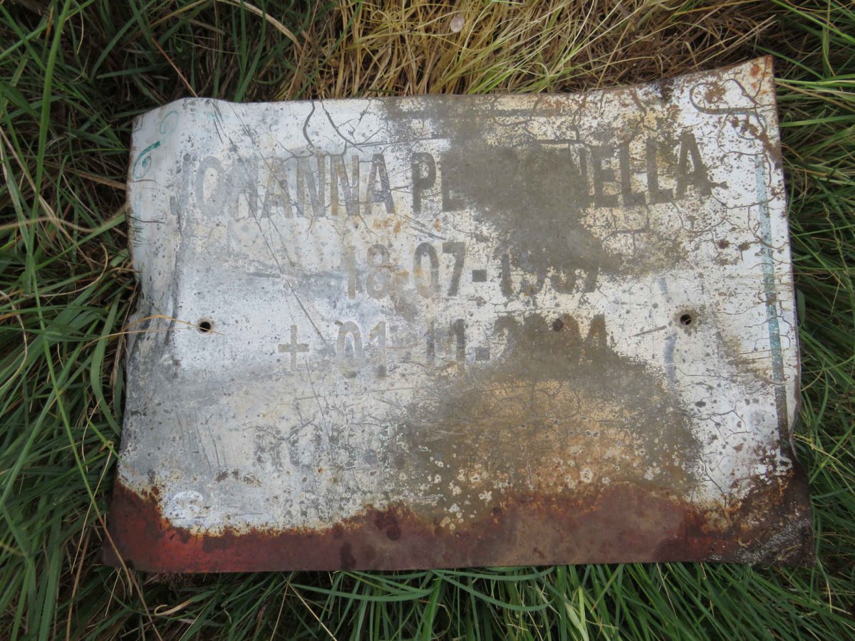 ? Johanna Petronella 1937-2004