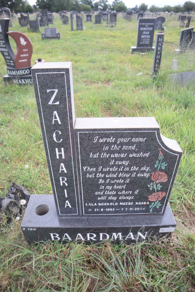 BAARDMAN Zacharia 1953-2004